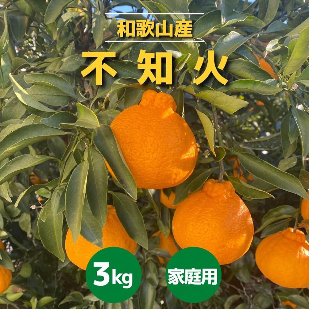 和歌山産 不知火 約3kg ［家庭用］［US64］