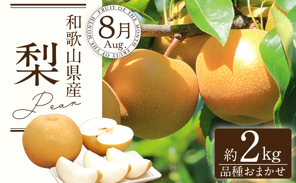 å®æäŸ¿å
š3å ã7æã»8æã»9æçºéã åæå±±ã®å€ã®ãã«ãŒãããå±ãïŒæ¡ã»æ¢šã»ã·ã£ã€ã³ãã¹ã«ããïŒ ïŒ»TM224