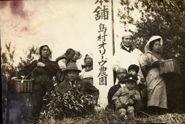 エキストラバージンオリーブオイル 堪能セット【SM8】