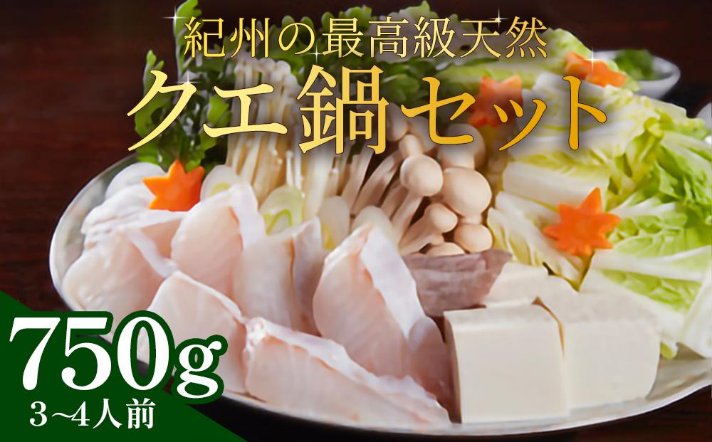 紀州の最高級天然クエ鍋セット 750g《3?4人前》