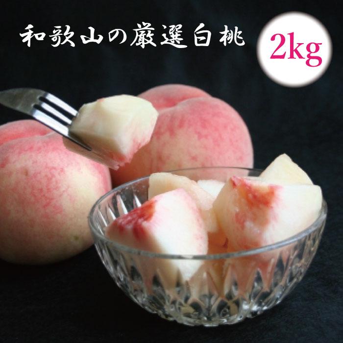 ［先行予約］和歌山の厳選白桃 約2kg［白鳳・清水白桃・川中島・もも・はくとう］［化粧箱入り］［IKE17］