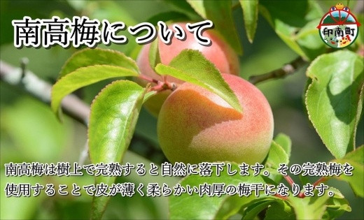 çŽå·å髿¢
è©°ãåããã»ãã 600gïŒèèãããæ¢
ã峿¢
å100gÃ2åïŒ