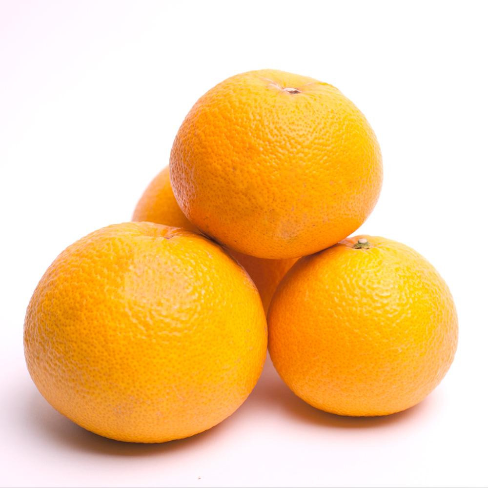 å
è¡äºçŽïŒœå³éž æš¹äžå®çã¯ã£ãã2.5kg+250gïŒå·ã¿è£ååïŒïŒ»æç°ã®æ¥ã¿ããã»äºæå
«æã»æšçãã¯ã£ããå
ã»ã³ãµãŒéžå¥ïŒœïŒ»IKE31