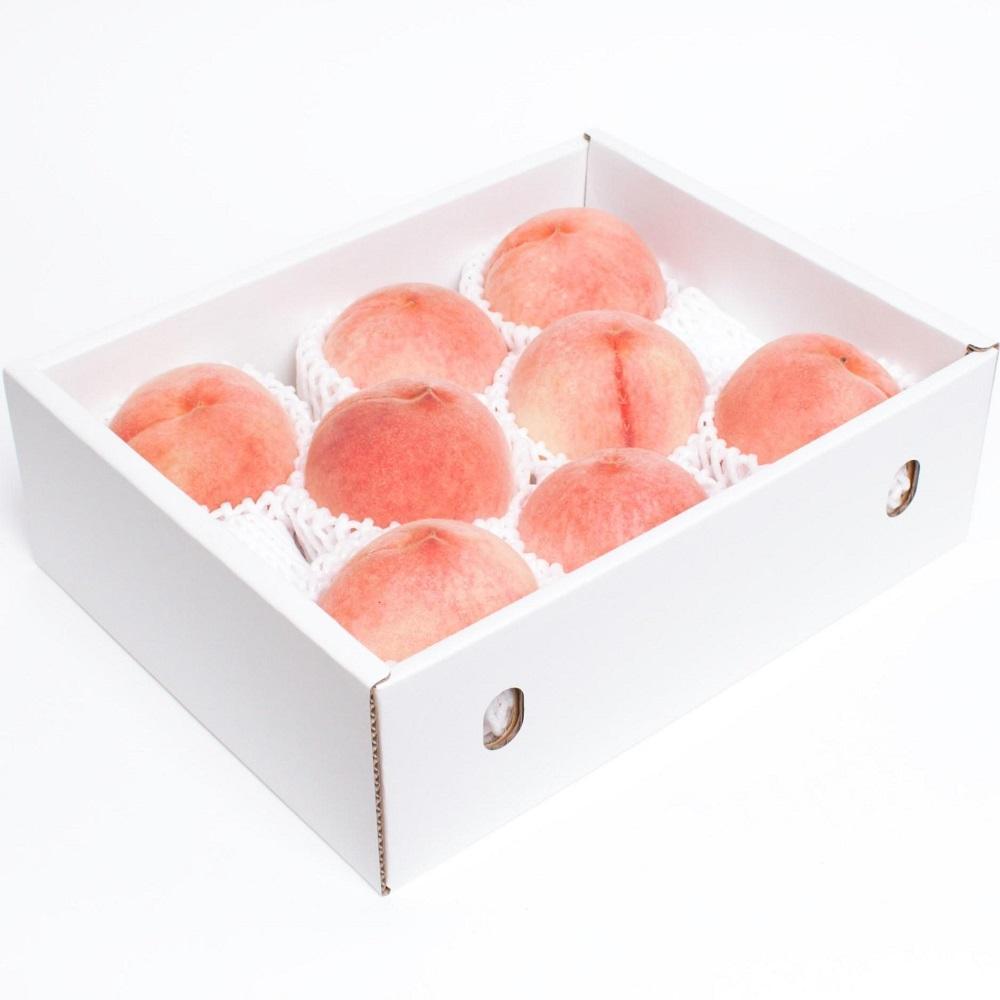 シサ蜈郁。御コ育エシス蜥梧ュ悟アア縺ョ蜴ウ驕ク逋ス譯 邏1.5kgシサ逋ス魑ウ繝サ貂豌エ逋ス譯繝サ蟾昜クュ蟲カ繝サ繧ゅb繝サ縺ッ縺上→縺シスシサ蛹也イァ邂ア蜈・繧奇シスシサIKE16シス