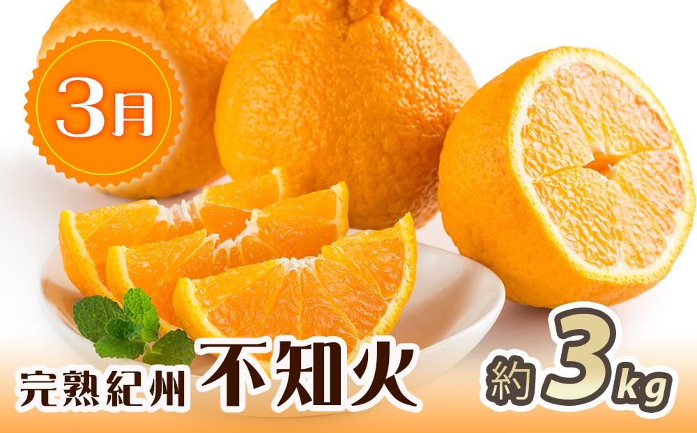 邏蟾槫柱豁悟アア逕」 譌ャ縺ォ縺雁ア翫¢シ√ヵ繝ォ繝シ繝繧サ繝繝茨シ井ク咲衍轣ォ繝サ譯繝サ蟇梧怏譟ソシ峨振T59縲