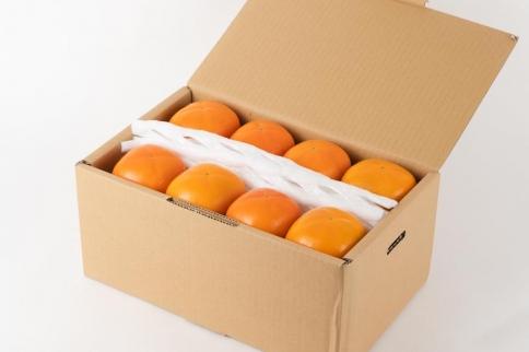 吊るし柿用たね無渋柿T軸又はクリップ付紐付約4.5〜5kg　約24〜30個＜2026年10月中旬〜11月上旬ごろ順次発送＞【ART13】