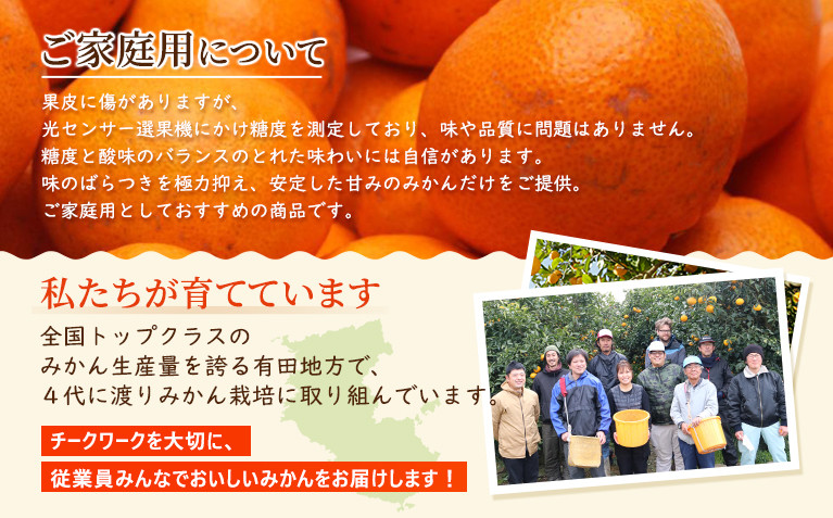 シサ蜈郁。御コ育エシス螳カ蠎ュ逕ィ 蟆上&縺ェ譛臥伐縺ソ縺九s5kg+250gシ亥す縺ソ陬懷─蛻シ会シサ2026蟷エ10譛亥晄流縺九i2027蟷エ1譛域忰譌・鬆鬆谺。逋コ騾∽コ亥ョ夲シスシサIKE245シス