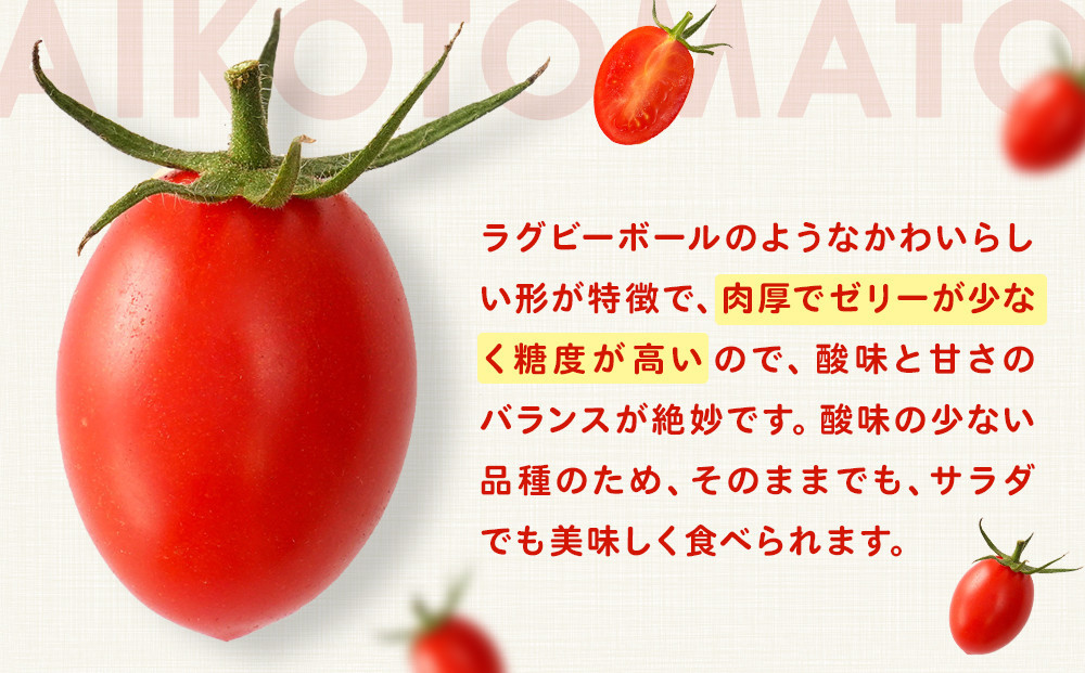 ［2026年5月出荷分］和歌山産ミニトマト「アイコトマト」約1kg（S・Mサイズおまかせ）［TM232］