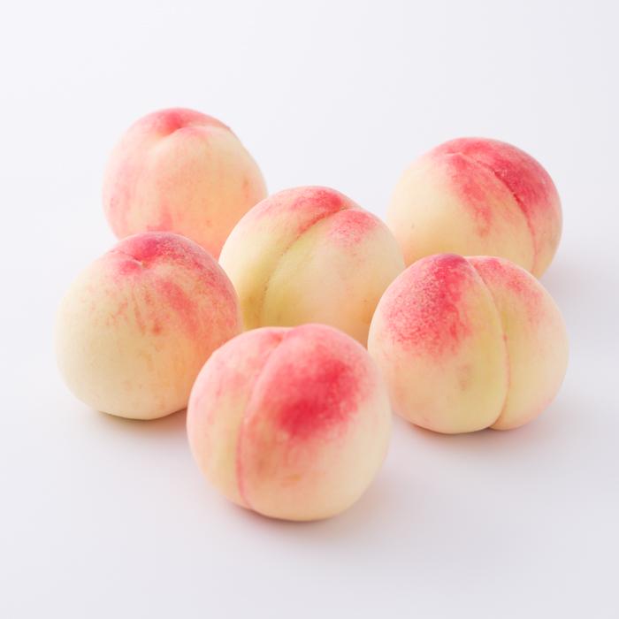 蜥梧ュ悟アア逵檎肇 譯 5邇会ス8邇 邏2kg 遘蜩シサUS36シス