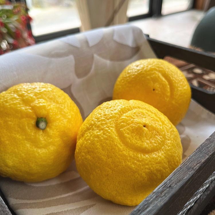 æç°è²ã¡ã® å®ç ã¯ããã¿ããïŒãå®¶åºçšïŒçŽ3kgå
è¡äºçŽïŒœïŒ»MS52