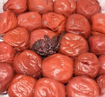 é«çŽå髿¢
ããæŒ¬æ¢
800gå
¥ çŽå·å¡ç®± 網代暡æ§ä»äž ãSW82ã