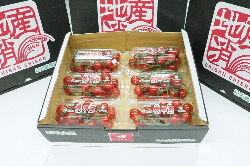 赤糖房（ミニトマト）【160ｇ×6パック】