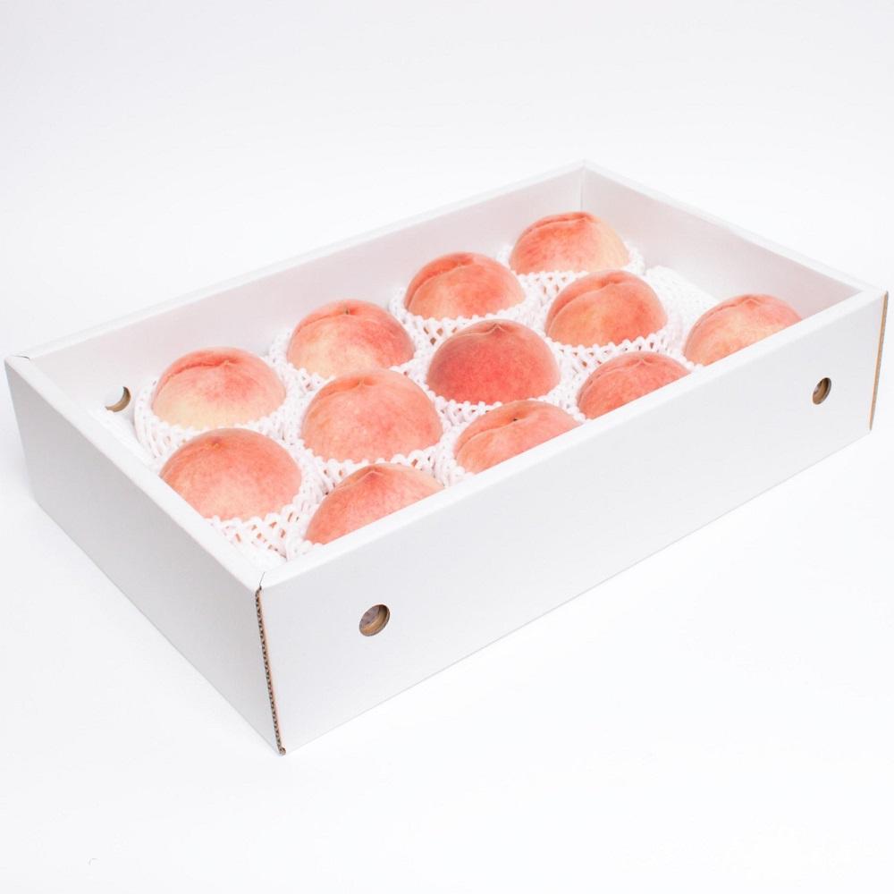 シサ蜈郁。御コ育エシス蜥梧ュ悟アア縺ョ蜴ウ驕ク逋ス譯 邏4kgシサ逋ス魑ウ繝サ貂豌エ逋ス譯繝サ蟾昜クュ蟲カ繝サ繧ゅb繝サ縺ッ縺上→縺シスシサ蛹也イァ邂ア蜈・繧奇シスシサIKE18シス