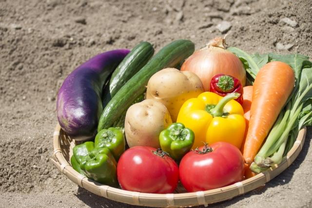 譌ャ縺ョ縺薙□繧上j5遞ョ鬘槭そ繝繝