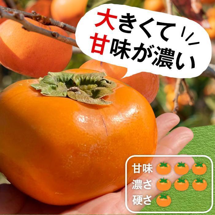 縲仙ョ壽悄萓ソ4蝗槭代ヵ繝ォ繝シ繝邇句嵜縺九▽繧峨℃逕コ繧医j縺雁ア翫¢シ∵流縺ョ繝輔Ν繝シ繝螳壽悄萓ソ縲尻G11縲