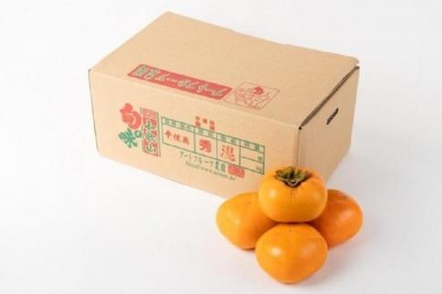 吊るし柿用たね無渋柿T軸又はクリップ付紐付約14.5〜15kg　約60〜90個＜2026年10月中旬〜11月上旬ごろ順次発送＞【ART12】