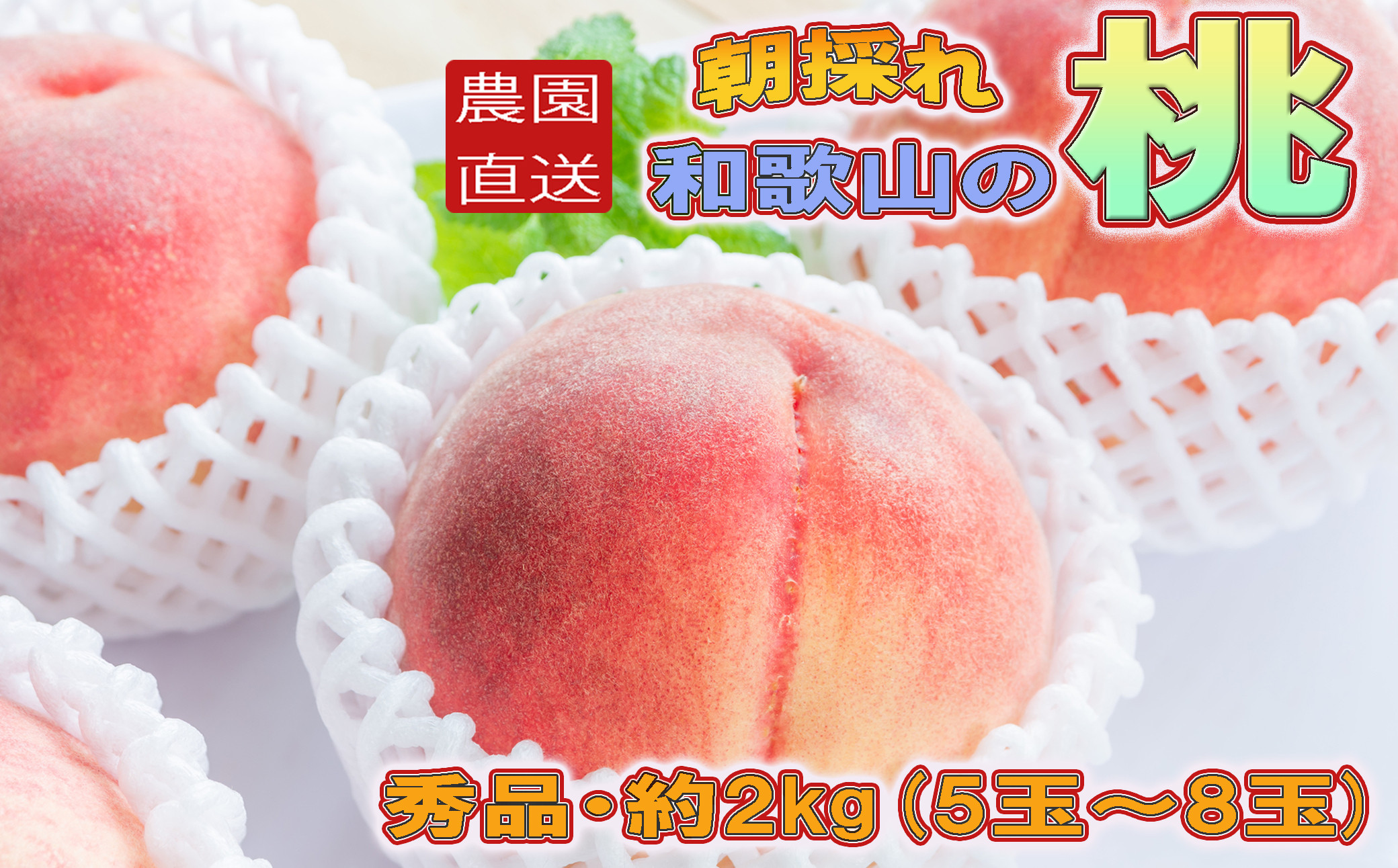 ［農園直送］朝採れ和歌山の桃　約2kg・秀品★2026年6月下旬～8月中旬頃順次発送★［TM167］