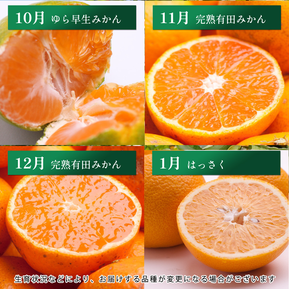 å³éž ææ©å®æäŸ¿SïŒæ¯æïŒå
š12åIKE285