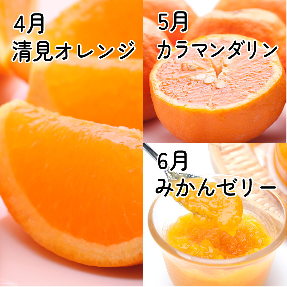 å³éž ææ©å®æäŸ¿SïŒ4ã6æïŒå
š3å IKE289