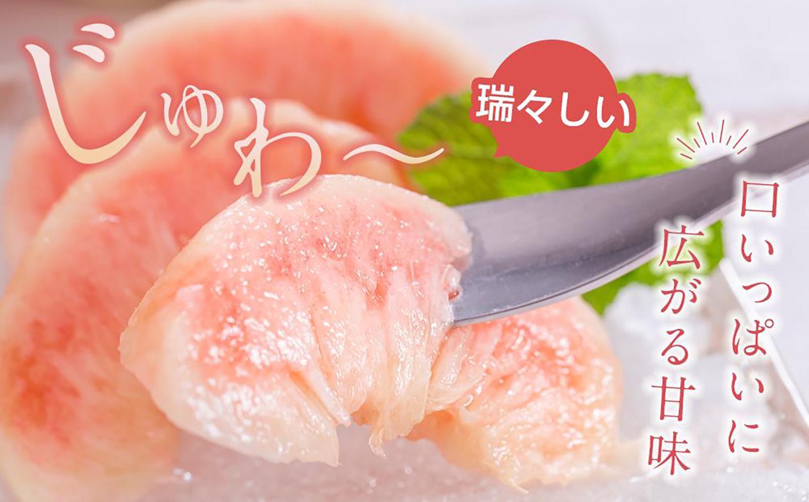 先行販売！［モモ］ 白鳳　桃の王様！約2kg6〜8個 ［2026年6月下旬頃より順次発送］［秀品］こだわり農家厳選 ［KG12］