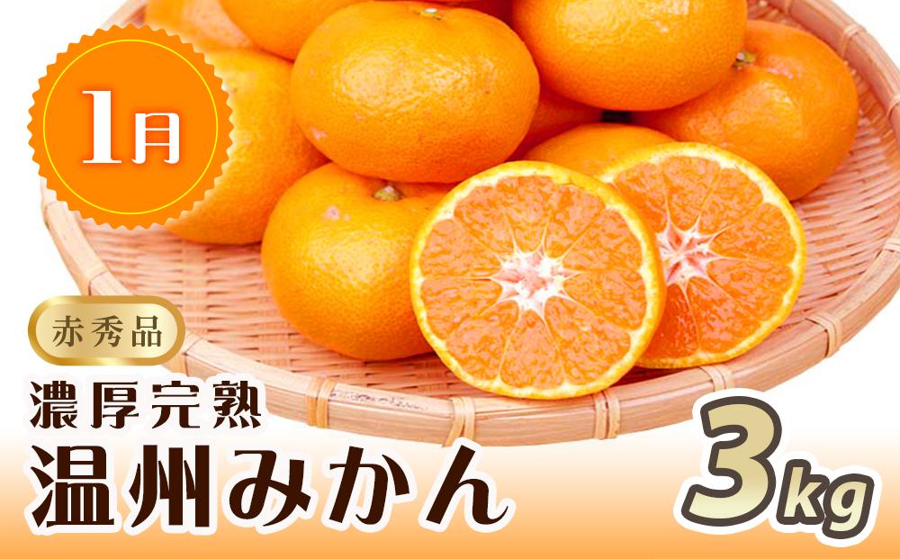 【1・4・7月 全3回】紀州和歌山産旬のフルーツセット（みかん・なつみ・バレンシア）【UT82】