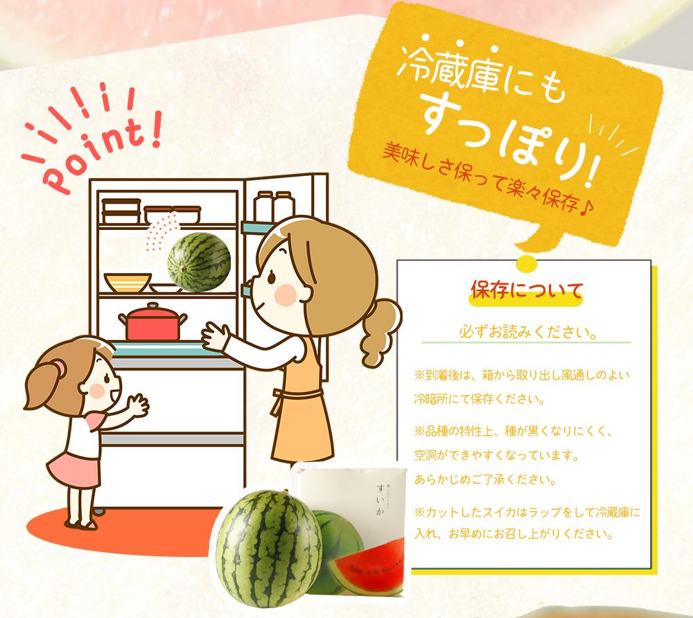 邏蟾槫柱豁悟アア逕」 蟆冗脂繧ケ繧、繧ォ縲後イ縺ィ繧翫§繧√ 2邇峨2026蟷エ6譛井クュ譌ャ鬆ス2026蟷エ7譛井ク頑流鬆縺ォ鬆谺。逋コ騾√代振T86縲