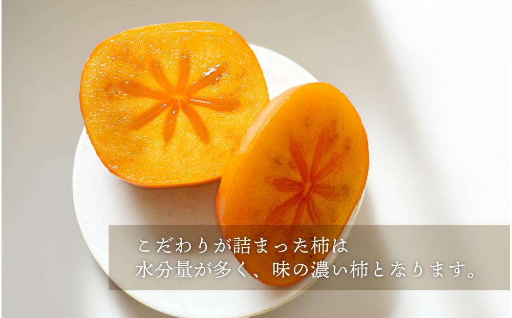柿 種無し 赤秀品 超大玉 1.8kg 5〜6個 ［先行予約］［2026年9月末頃から発送］［KG4］