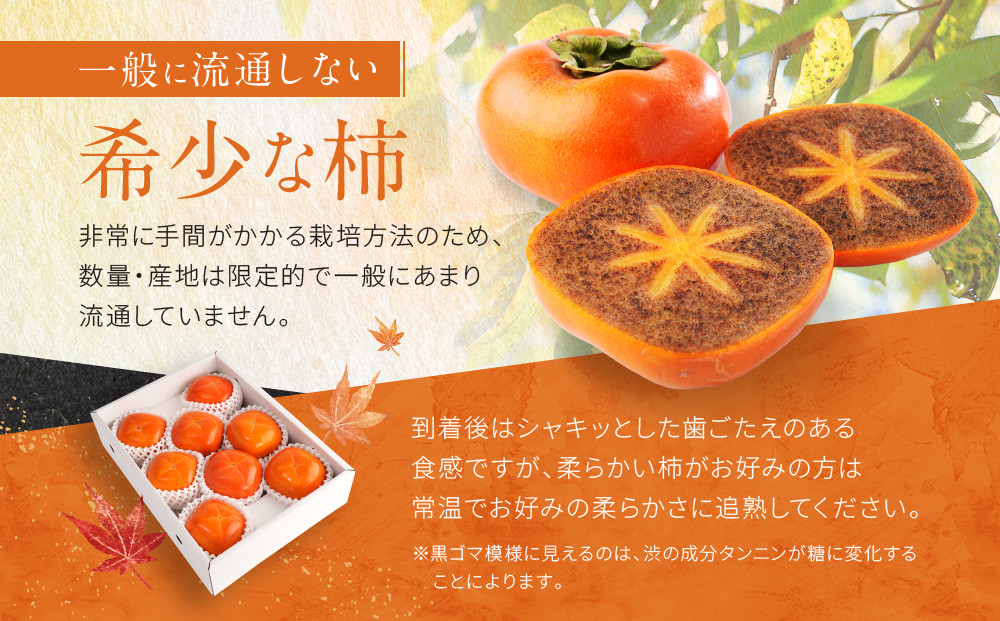 ［2026年発送分］先行予約！ 紀の川柿（果実の中身が黒い！黒蜜柿）希少栽培！ 秀品 6個〜9個 こだわり農家厳選！［KG34］