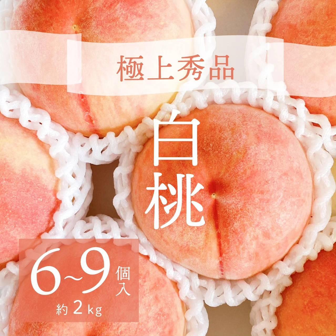 縲仙ョ壽悄萓ソ4蝗槭代ヵ繝ォ繝シ繝邇句嵜縺九▽繧峨℃逕コ繧医j縺雁ア翫¢シ∵流縺ョ繝輔Ν繝シ繝螳壽悄萓ソ縲尻G11縲