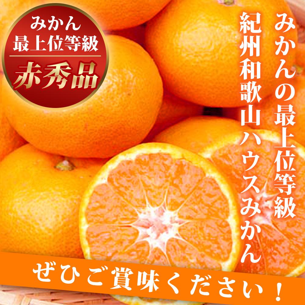 赤秀品 紀州和歌山ハウスみかん 2.5kg［2026年6月末頃〜2026年7月中旬頃に順次発送］［UT87］