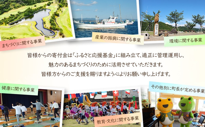 【旬のフルーツ詰め合わせ】フルーツ王国和歌山のフルーツセット