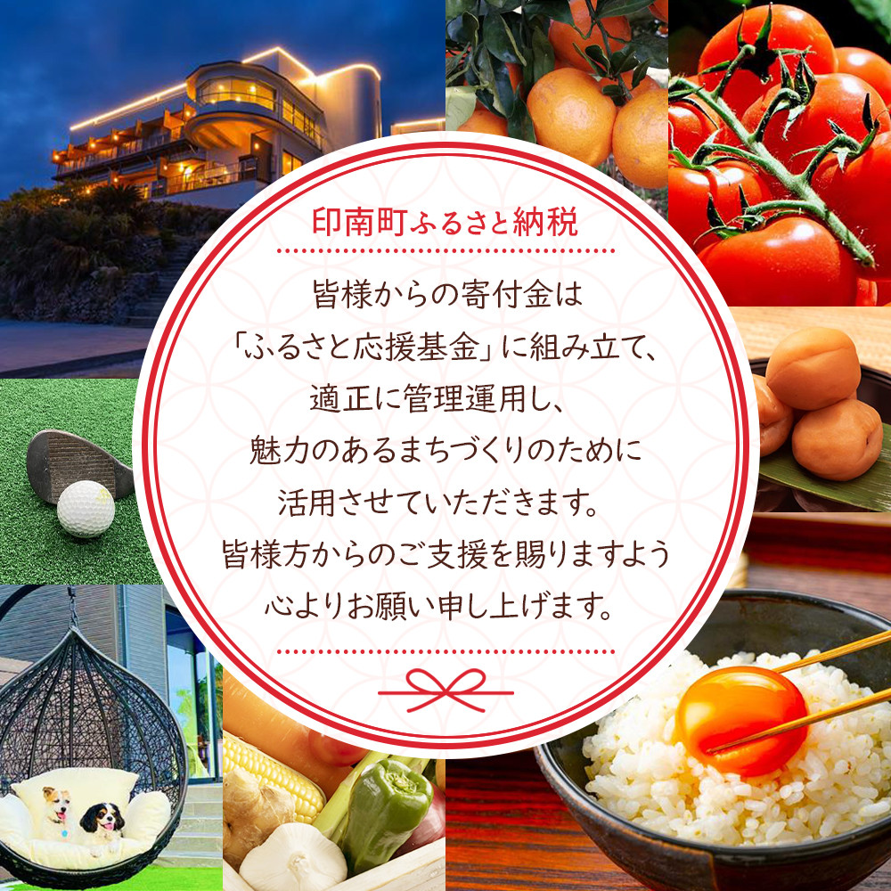 å®¶åºçš å·åæ¢
çŽ1kg çŽå· å髿¢
鿢
黿¢
å®çæ¢
èš³ããIKE331