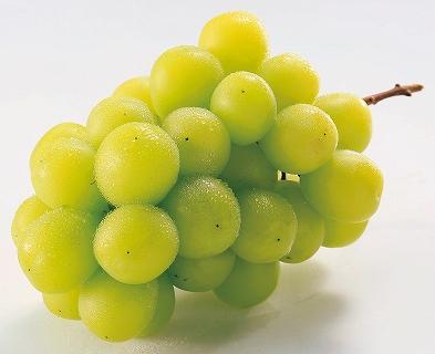 åæå±±çç£ ã·ã£ã€ã³ãã¹ã«ãã 2æ¿å
¥ããç§åã2026幎8æäžæ¬ä»¥éåºè·ïŒœïŒ»MG23