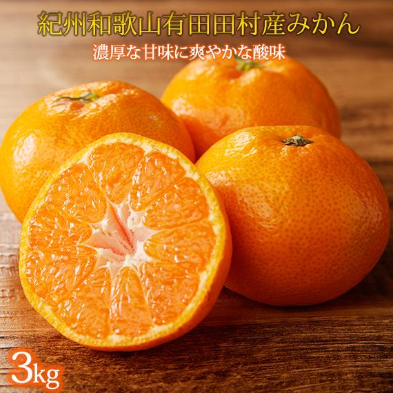 高級ブランド 秀品 紀州有田 田村産 みかん 約3kg