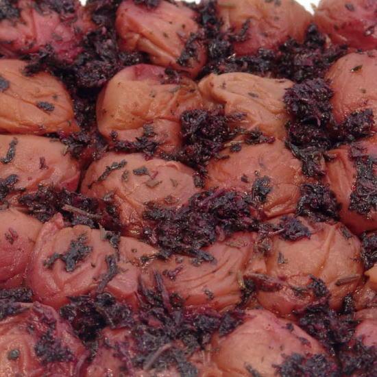 縺励◎縺九▽縺頑「蟷イ縺励▽縺カ繧梧「シ医ッ縺。縺ソ縺、蜈・繧奇シ会シサ縺泌ョカ蠎ュ逕ィシスシ暦シ包シ撰ス縲顔エ蟾槫漉鬮俶「縲