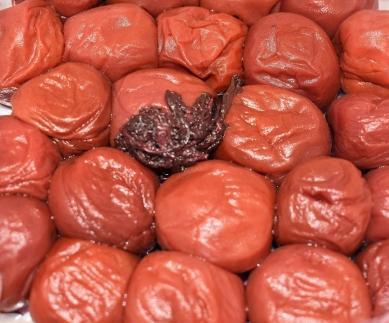 é«çŽå髿¢
ã¯ã¡ã¿ã€æ¢
ã»ããæŒ¬æ¢
èš800gå
¥ çŽå·å¡ç®± 網代暡æ§ä»äž ãSW84ã