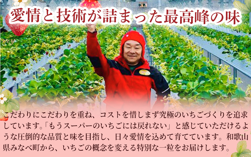 【体験】 【開催期間 2027年1月1日～5月7日】 オリジナルいちごと人気ブランドいちごの食べ比べ いちご狩り体験チケット ( 4名様分)【maato005】