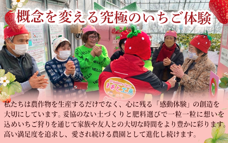 【体験】 【開催期間 2027年1月1日～5月7日】 オリジナルいちごと人気ブランドいちごの食べ比べ いちご狩り体験チケット ( 5名様分)【maato006】