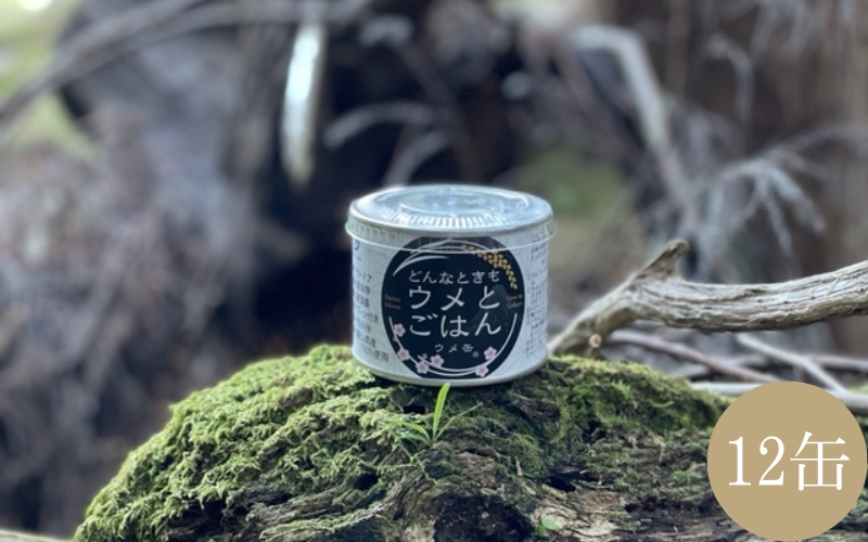 ウメ缶 どんなときもウメとごはん 12缶 | 【缶詰 防災】ngao009A