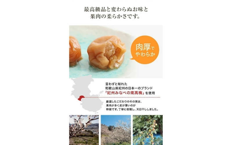  はちみつ梅干し1.2kg（600g×2）紀州南高梅 和歌山県産 / 家庭用 つぶれ梅 訳あり フランス産はちみつ使用 大粒 肉厚 塩分7％【baijuen002B】