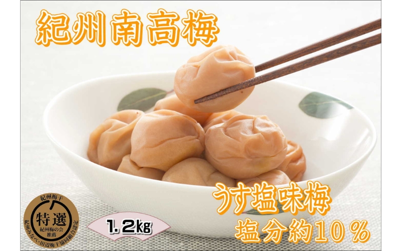 紀州南高梅 うす塩 塩分 10% 1.2kg[yplu011B]