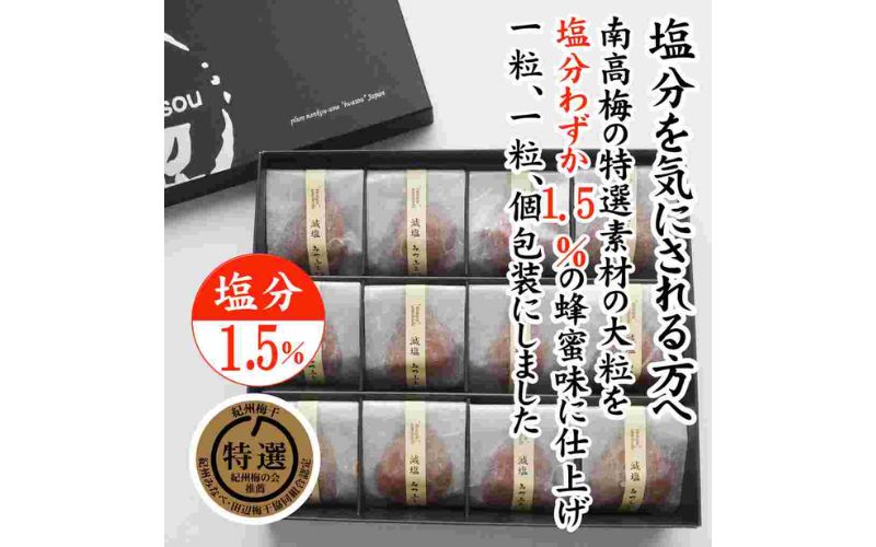 紀州産南高梅 みつふる12粒入り 減塩1.5% tnht002A