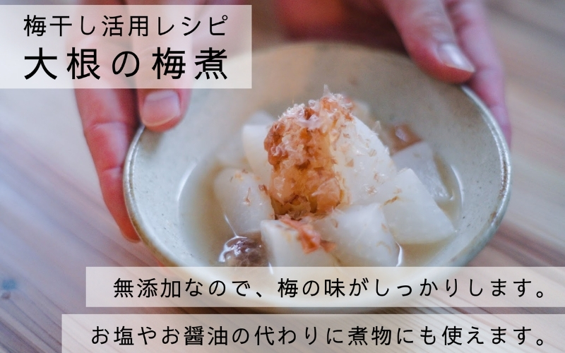 【梅ボーイズ】無添加 紀州南高梅の梅チューブ140g×4本セット（塩・紫蘇）天日塩使用 umehkr020