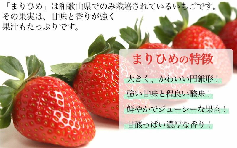 ［先行予約］いちご（まりひめ）　1パック(11粒入り）×4パック　ゆりかーご包装  ［2026年3月中旬から4月中旬にお届け予定］tagfam004