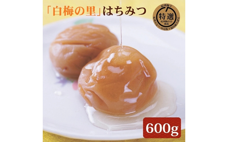 特選　紀州南高梅「白梅の里」はちみつ　600g　塩分約8％　sekifz026B