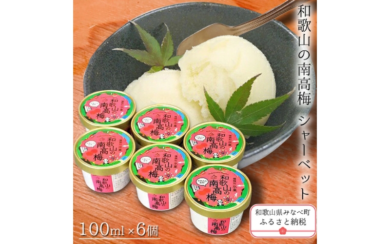 和歌山の南高梅（シャーベット）100ml×6個【yplu004A】