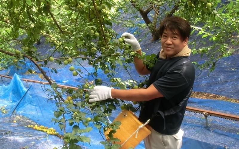 å¯ä¹å©ã®ããŸããã15åæšç®±å
¥ã / ã¿ãªã¹çº æ¢
æ¢
ã¹ã€ãŒã ãã¶ãŒã ãèå ãè¶ãã å®ç çŽå·å髿¢
å髿¢
å¡©å0ïŒ
å¡©åãŒã ç¡å¡© èŽç èŽãç© ã®ãã ãã¬ãŒã³ã é²ç©ãsskn009ã