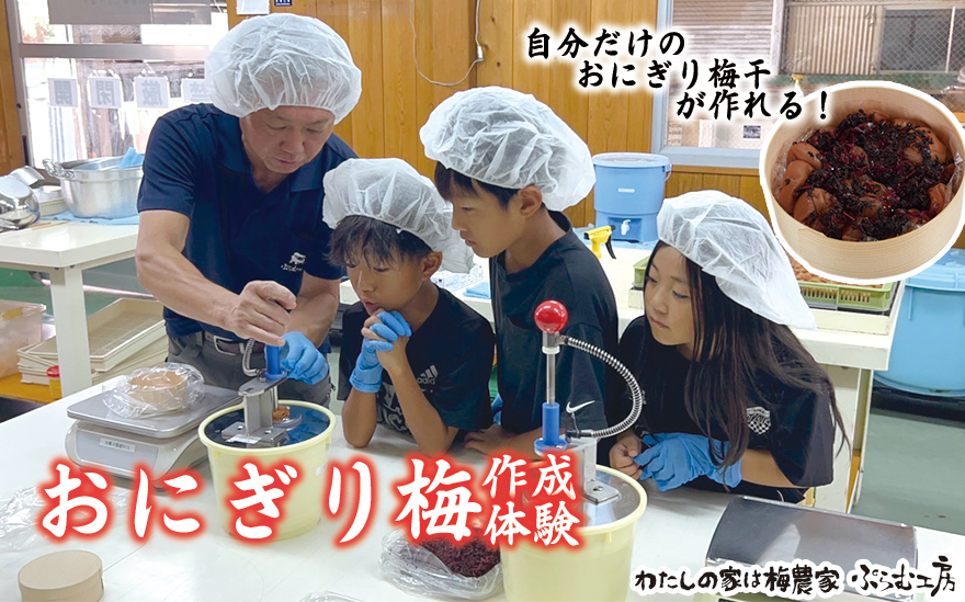 オリジナルおにぎり梅製作体験ペアチケット iwasho009A