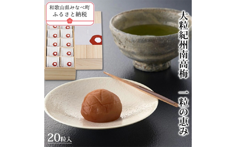 一粒の恵み kishusogo009