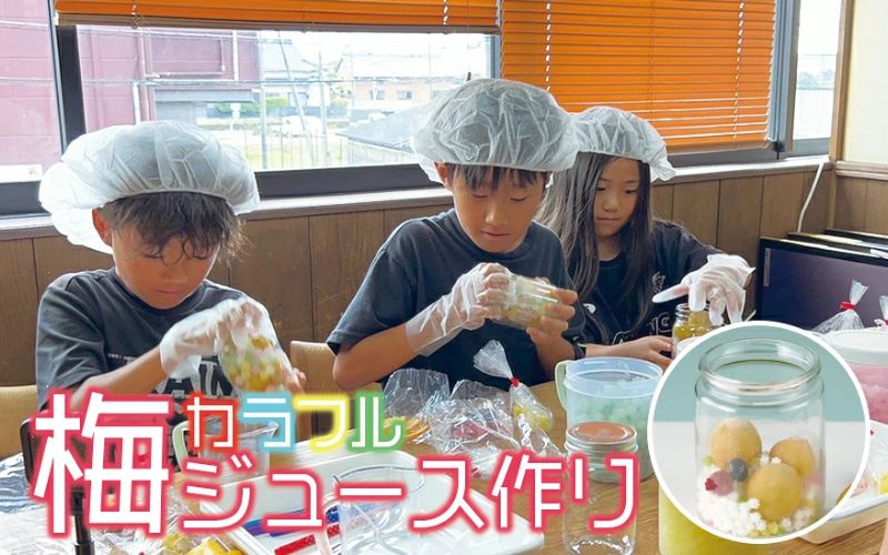 カラフル梅ジュースづくり体験ペアチケット iwasho011A